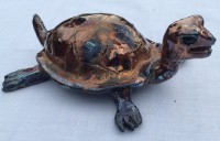 Lille Skildpadde
